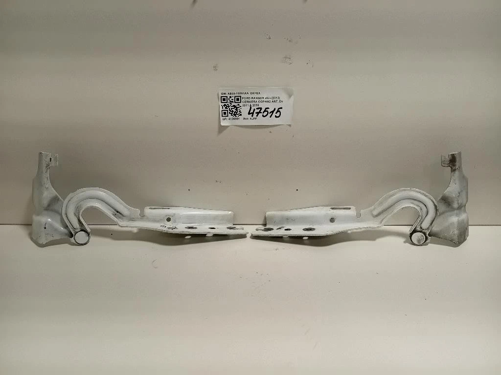 KIT Cerniere Cofano ANT AB39-16801AA DX+SX Ford Ranger IV 2012