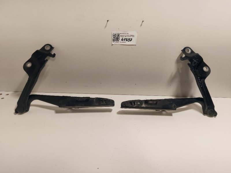 KIT Cerniere Cofano ANT S9740220S9740320 DX+SZ Jaguar XF I 2011