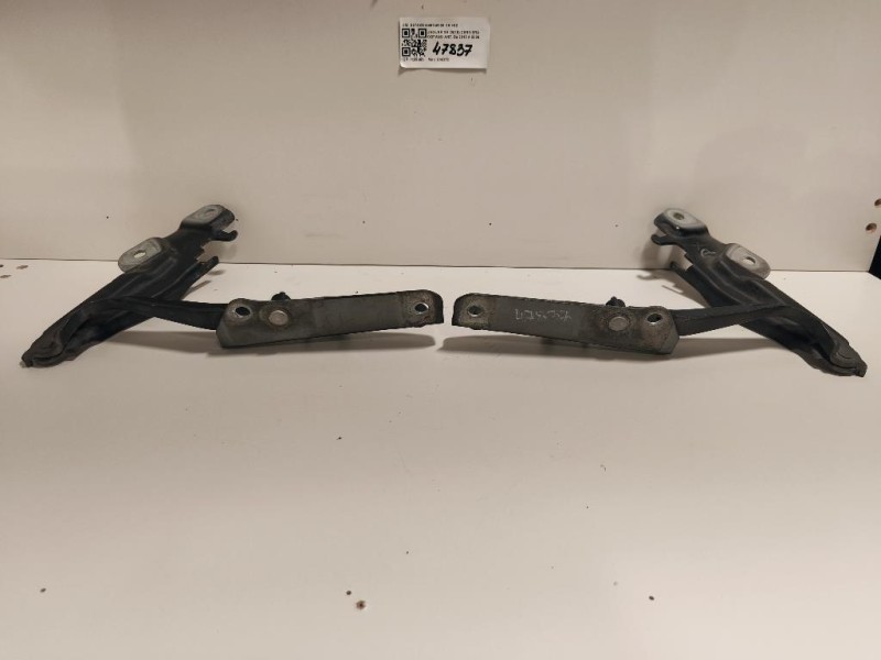 KIT Cerniere Cofano ANT S9740220S9740320 DX+SZ Jaguar XF I 2011