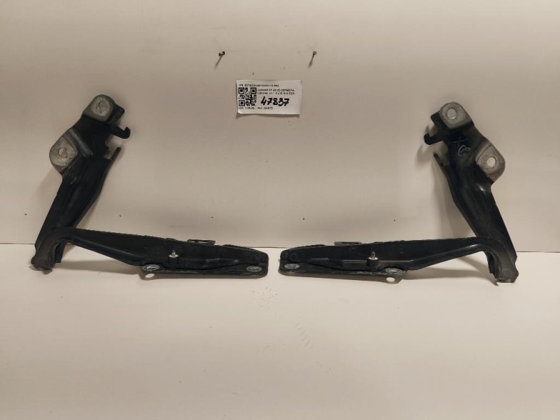 KIT Cerniere Cofano ANT S9740220S9740320 DX+SZ Jaguar XF I 2011