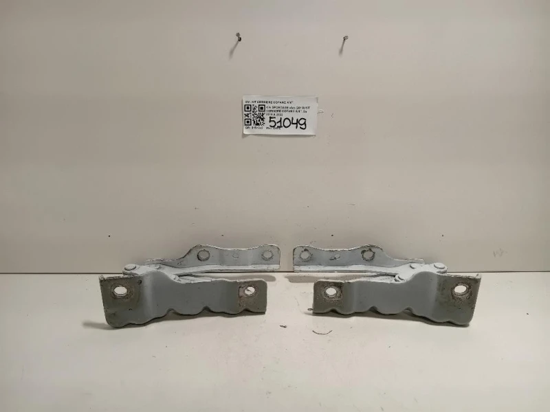KIT Cerniere Cofano ANT KIT CERNIERE COFANO ANT Kia Sportage IV 2018
