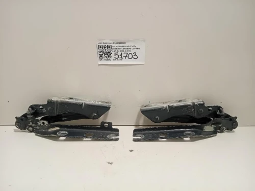 KIT Cerniere Cofano ANT 5K0823301C5K0823302C Volkswagen GOLF VI 2009