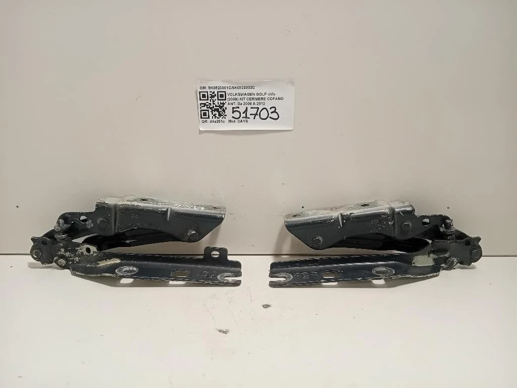 KIT Cerniere Cofano ANT 5K0823301C5K0823302C Volkswagen GOLF VI 2009