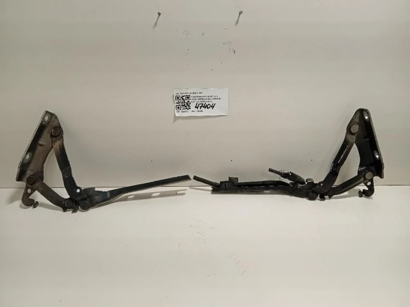 KIT Cerniere Cofano ANT 5K0 823 301B DX+SX Volkswagen GOLF VI 2009