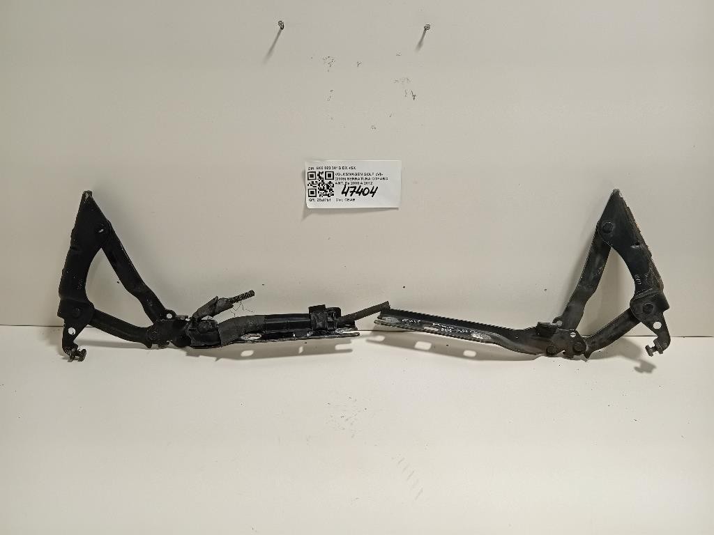 KIT Cerniere Cofano ANT 5K0 823 301B DX+SX Volkswagen GOLF VI 2009