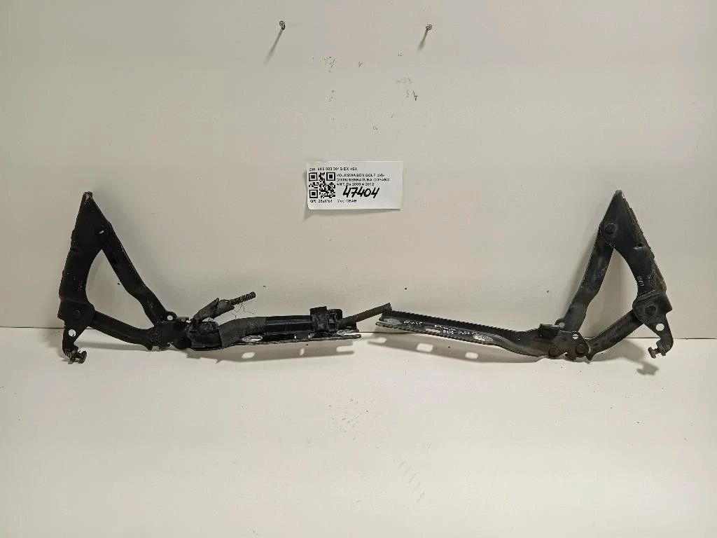 KIT Cerniere Cofano ANT 5K0 823 301B DX+SX Volkswagen GOLF VI 2009