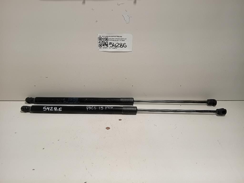 KIT Pistone J9C3-406A10-AB POSTERIORE Jaguar E-pace 2017