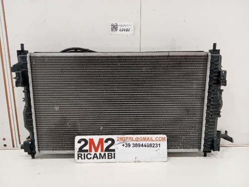 Modanatura Adesiva Porta ANT SX 9813091377 Citroen C3 III 2016