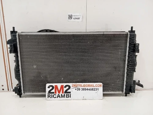 Modanatura Adesiva Porta ANT SX 9813091377 Citroen C3 III 2016