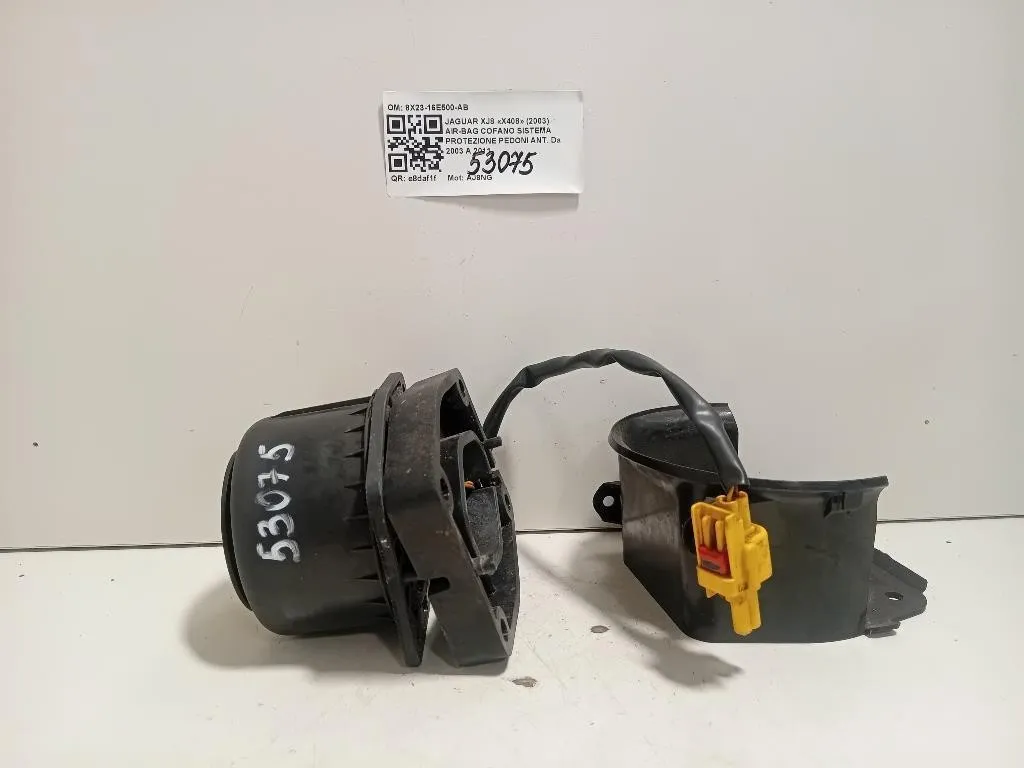 Air-bag Cofano Sistema Protezione Pedoni ANT 8X23-16E500-AB Jaguar XJ8 X408 2003