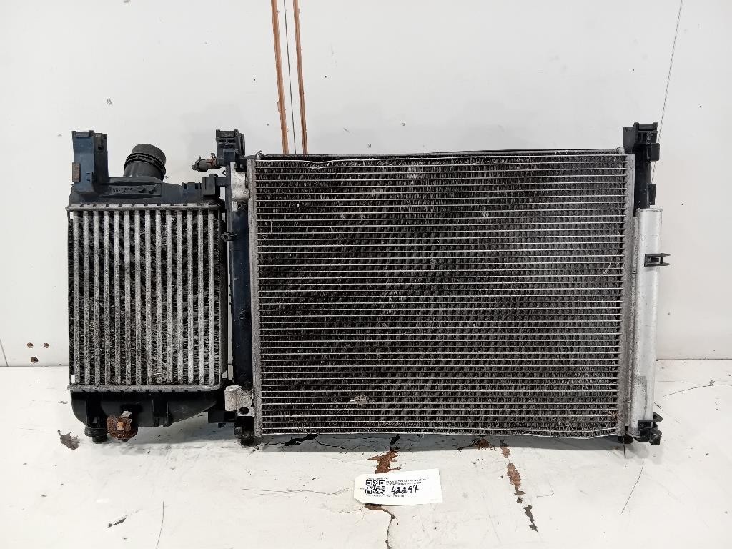 KIT Radiatori 921006843R Renault CLIO IV 2013