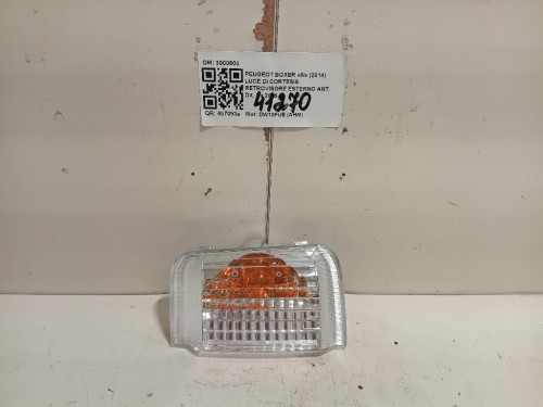 LUCE DI Cortesia Retrovisore Esterno ANT DX 3000500 Peugeot Boxer III 2014