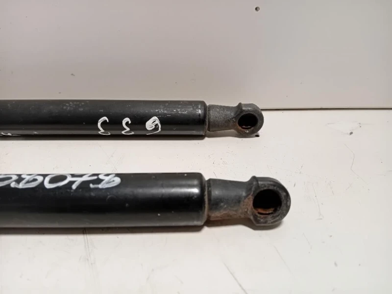 Ammortizzatore Portello POST DX 904524666R Dacia Duster I 2014