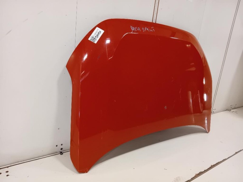 Cofano ANT 651002162R Dacia Spring 2020