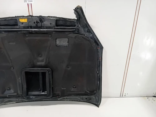 Cofano ANT 5330160470 Toyota Landcruiser 120 2003