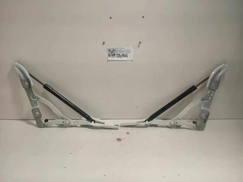 KIT Cerniere Cofano ANT 73045587304557 Bmw Serie 2 F23 Cabrio 2014
