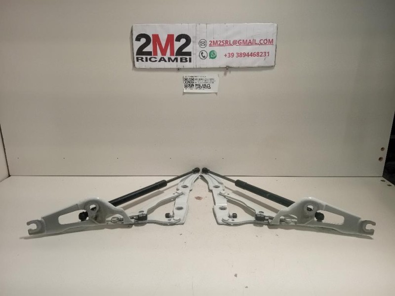 KIT Cerniere Cofano ANT 73045587304557 Bmw Serie 2 F23 Cabrio 2014