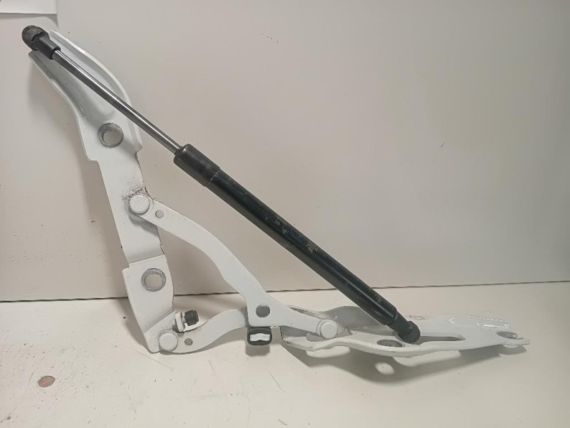 KIT Cerniere Cofano ANT 73045587304557 Bmw Serie 2 F23 Cabrio 2014