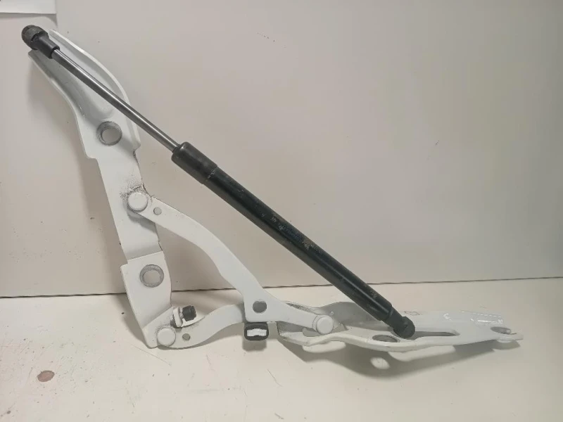 KIT Cerniere Cofano ANT 73045587304557 Bmw Serie 2 F23 Cabrio 2014
