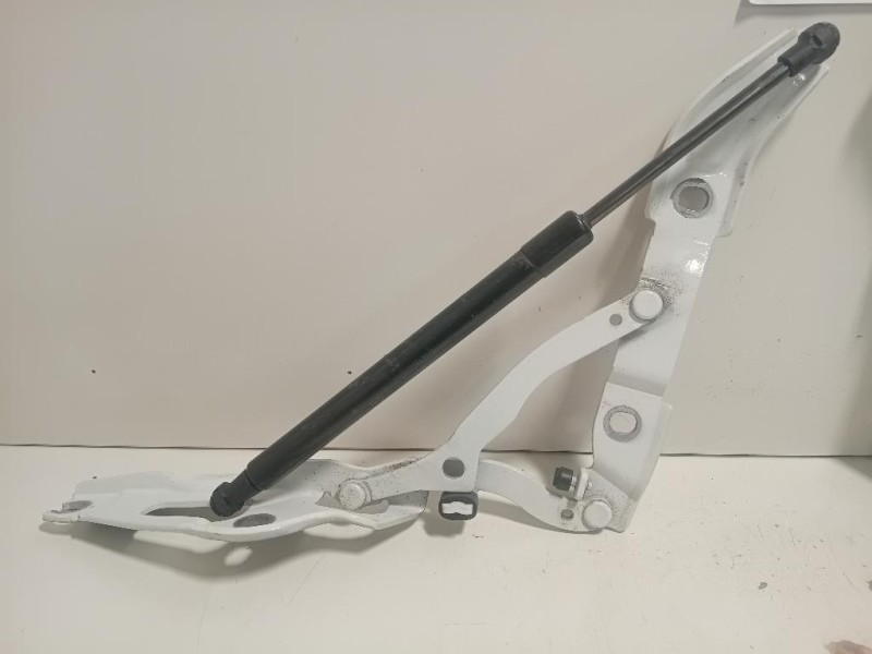 KIT Cerniere Cofano ANT 73045587304557 Bmw Serie 2 F23 Cabrio 2014