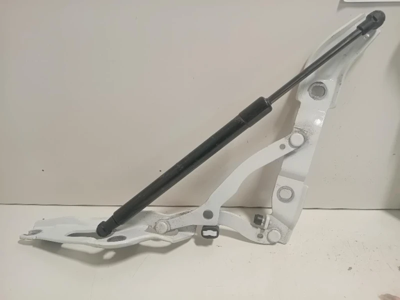 KIT Cerniere Cofano ANT 73045587304557 Bmw Serie 2 F23 Cabrio 2014