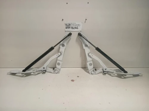 KIT Cerniere Cofano ANT 73045587304557 Bmw Serie 2 F23 Cabrio 2014