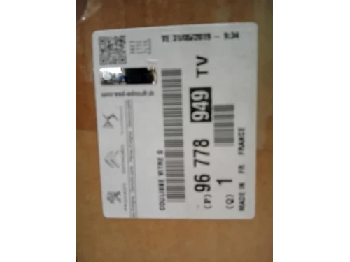 Canalina Guida Cristallo Porta LATO ANT ANT SX 96778949TV Peugeot 308 II 2017