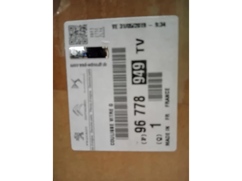 Canalina Guida Cristallo Porta LATO ANT ANT SX 96778949TV Peugeot 308 II 2017