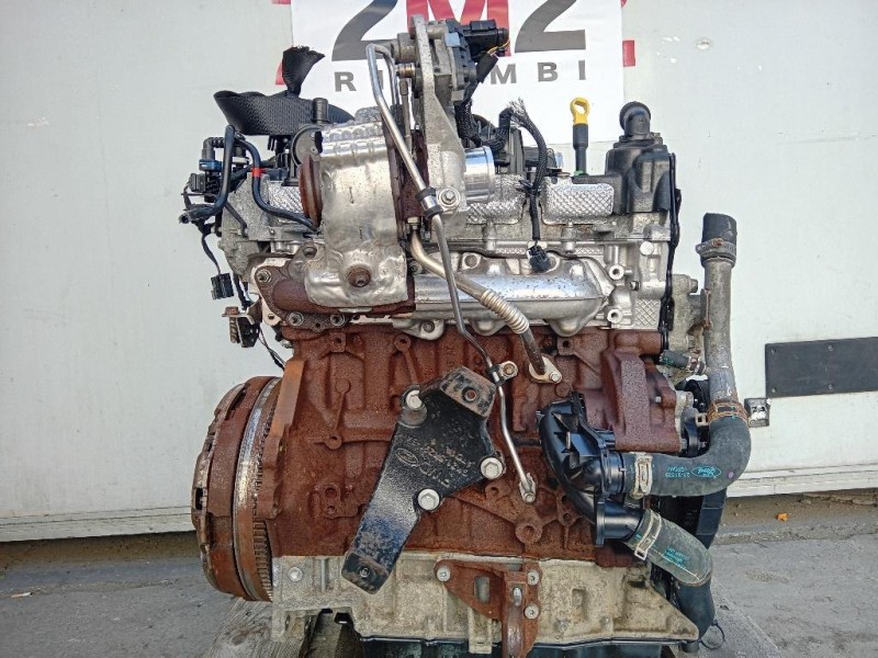 Motore Completo YLF6 105 CV 77 KW Ford Transit VI 2014
