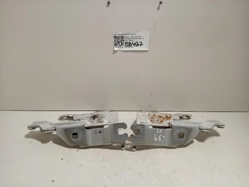 KIT Cerniere Cofano ANT 29903602990359 Bmw X1 E84 2010