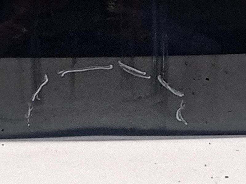 Portello POST 2405726 Ford PUMA II 2019