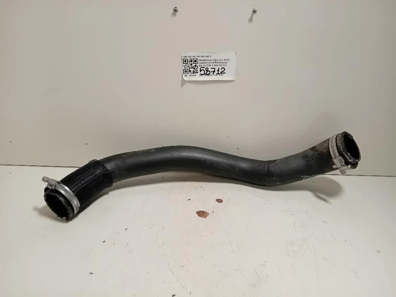 Manicotto Intercooler INF 9821687780 Peugeot Expert III 2016