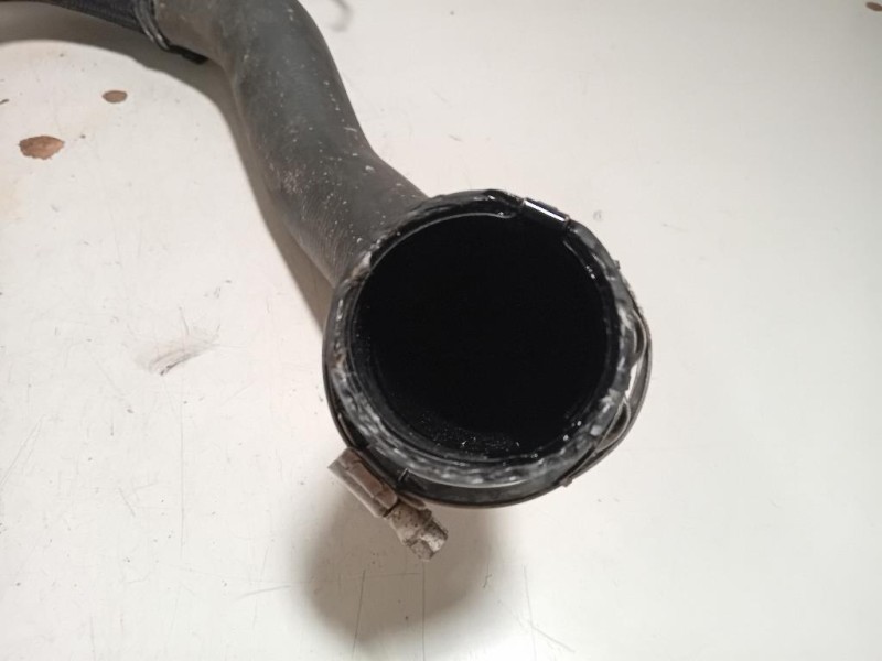 Manicotto Intercooler INF 9806788380 Peugeot Expert III 2016