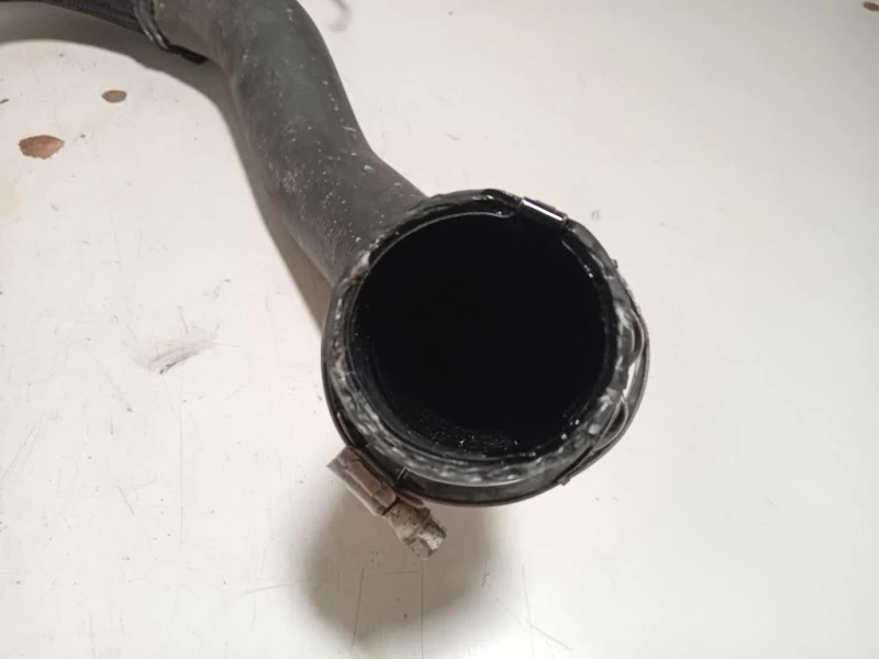 Manicotto Intercooler INF 9806788380 Peugeot Expert III 2016