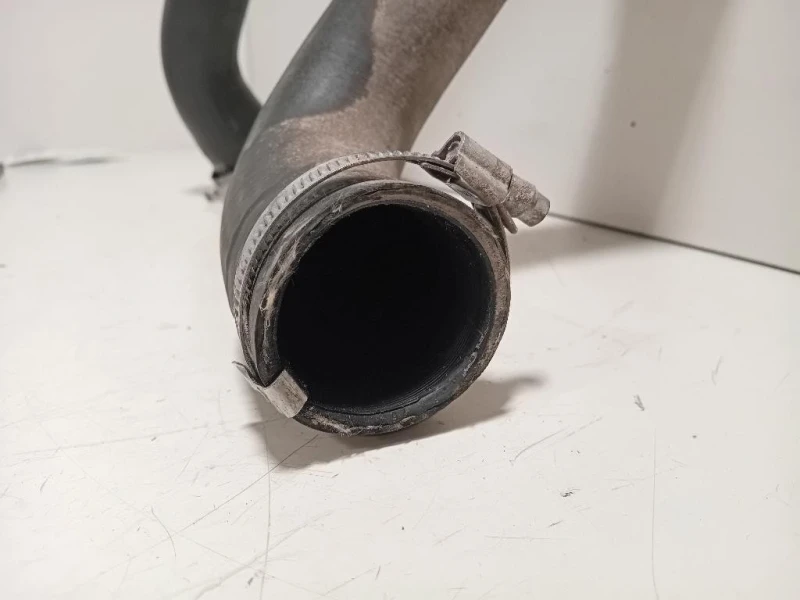 Manicotto Intercooler INF 9806788380 Peugeot Expert III 2016