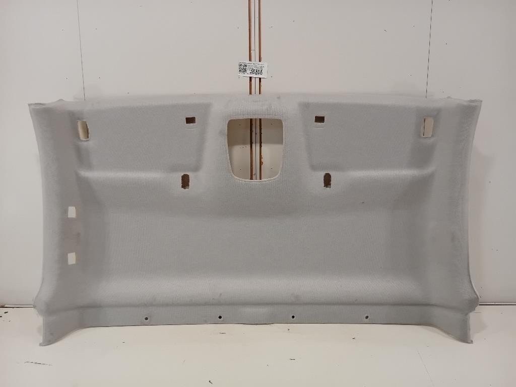 Pannello Rivestimento Tetto ANT PANNELLO RIVESTIMENTO TETTO ANT Peugeot Expert III 2016