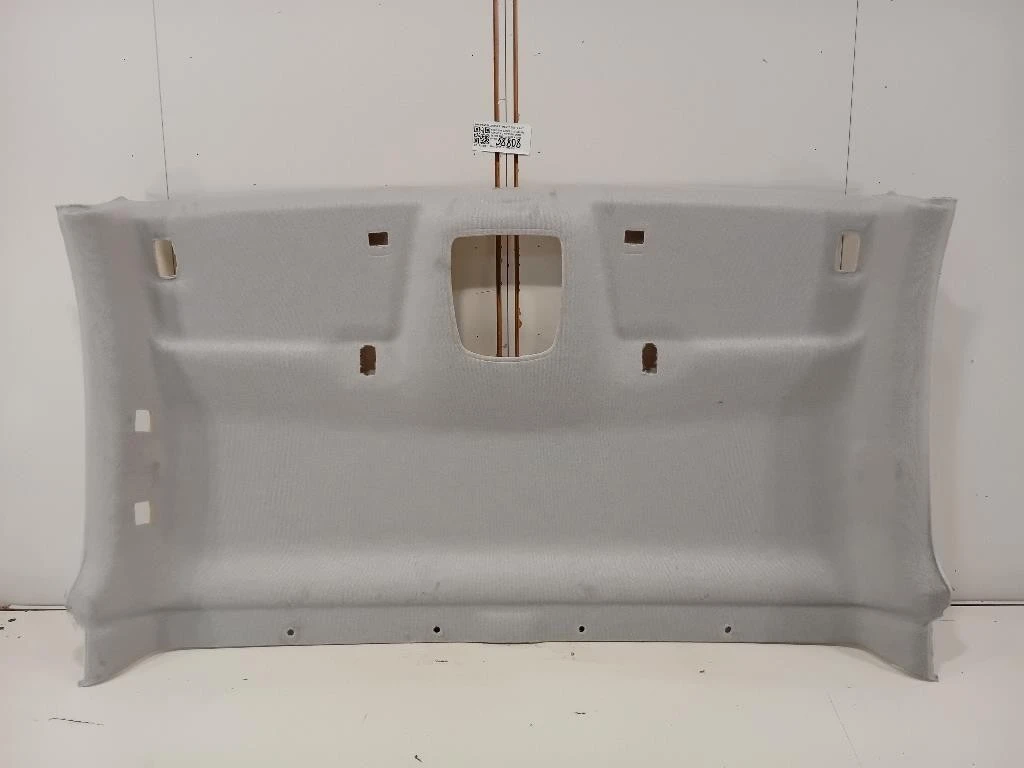 Pannello Rivestimento Tetto ANT PANNELLO RIVESTIMENTO TETTO ANT Peugeot Expert III 2016