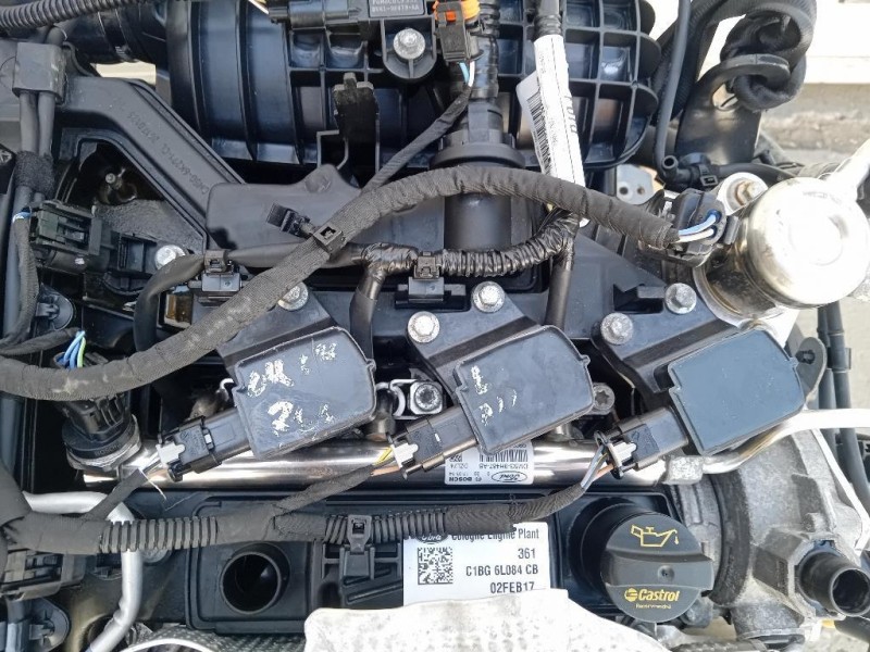 Motore Completo SFJA 101 CV 74 KW Ford Fiesta VI 2012