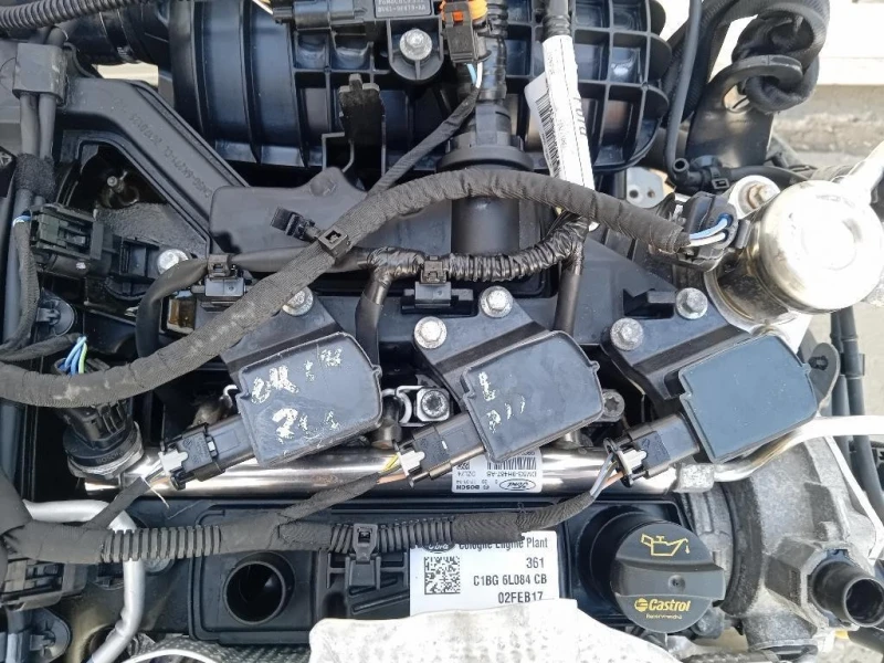 Motore Completo SFJA 101 CV 74 KW Ford Fiesta VI 2012