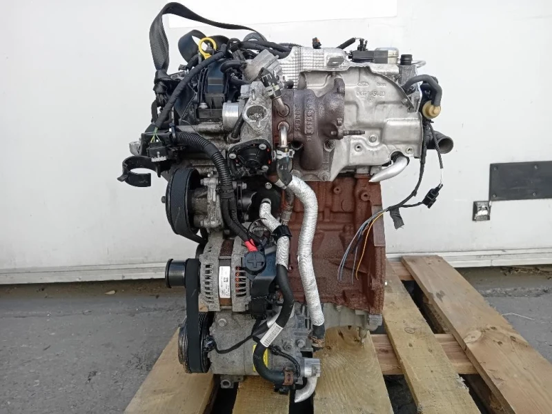 Motore Completo SFJA 101 CV 74 KW Ford Fiesta VI 2012