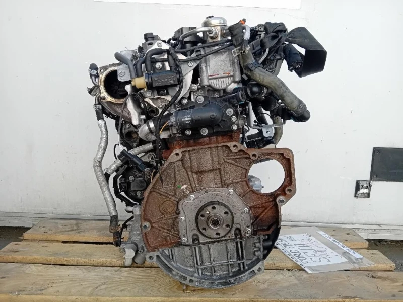 Motore Completo SFJA 101 CV 74 KW Ford Fiesta VI 2012