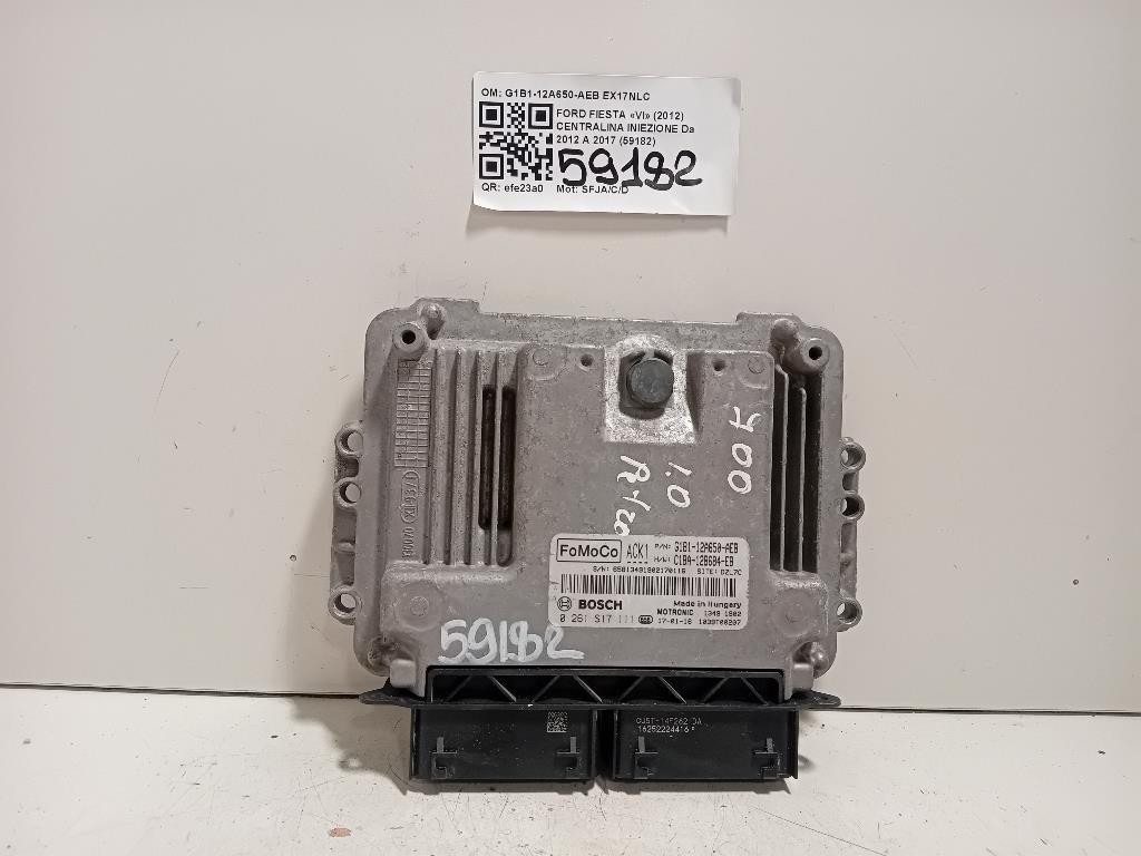 Centralina Iniezione G1B1-12A650-AEB Ford Fiesta VI 2012
