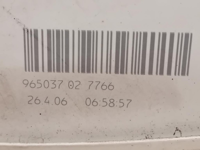 Fanale POST DX 96503702 Audi A4 8EC 2005