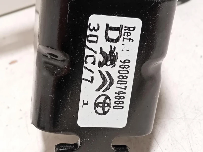 KIT Cerniere Porta DI Carico POST DX 9822930180G980807488098080758 Citroen Jumpy IV 2016