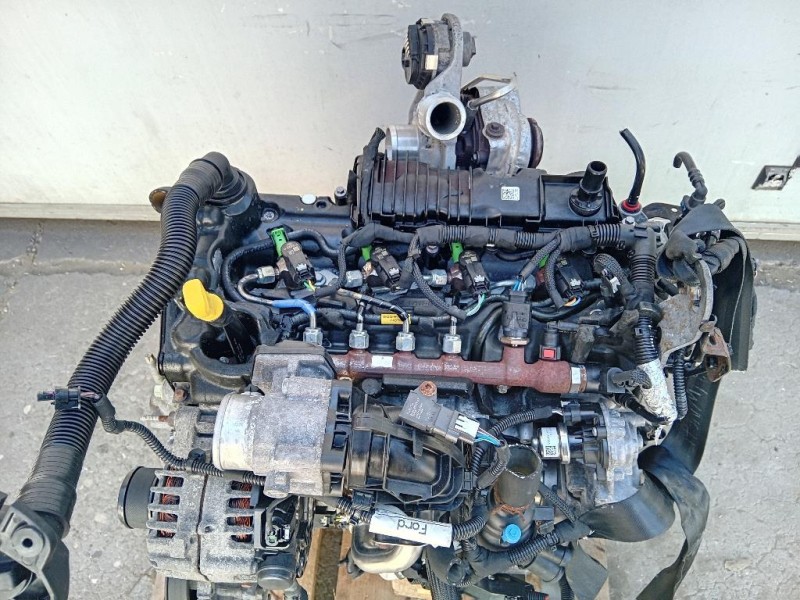 Motore Completo YLF6 105 CV 77 KW Ford Transit Custom I 2013