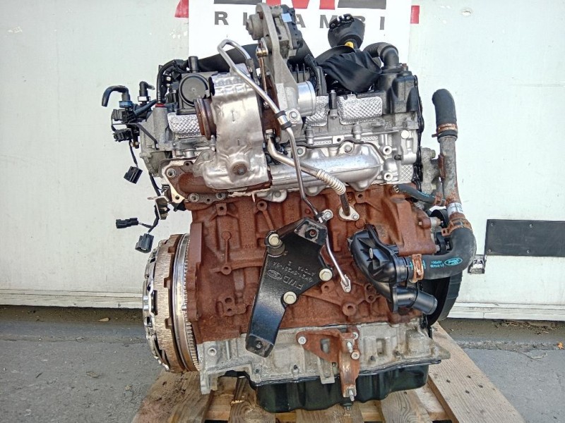 Motore Completo YLF6 105 CV 77 KW Ford Transit Custom I 2013