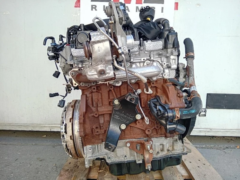 Motore Completo YLF6 105 CV 77 KW Ford Transit Custom I 2013