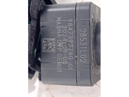 Telecamera Posteriore Portello POST 9847393780 Peugeot Expert III 2016