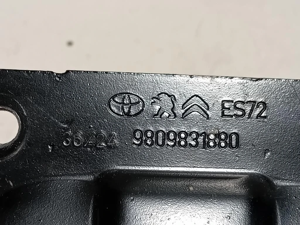 Tirante Arresto Porta DI Carico POST SX 9809831880 Peugeot Expert III 2016