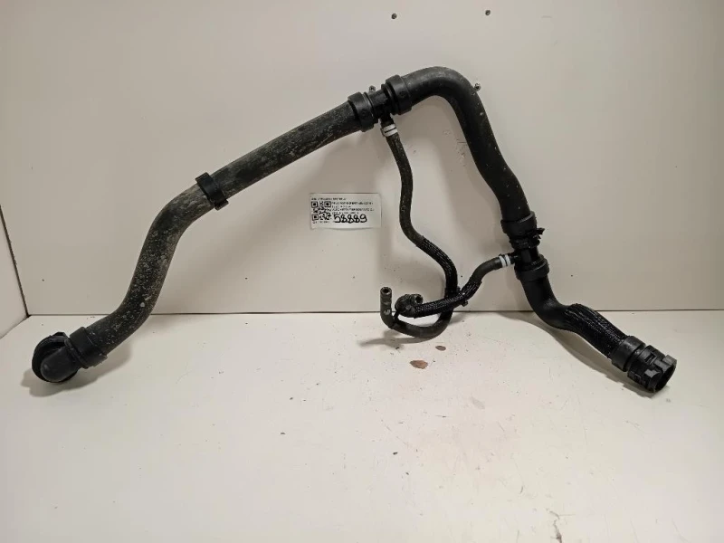 TUBO Acqua Vaschettatermostato 310022599 Peugeot Expert III 2016